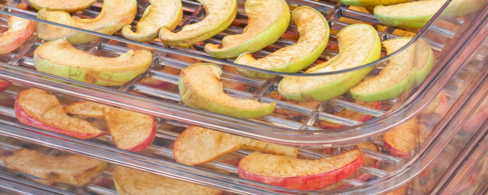 Dehydrator Snacks for Camping