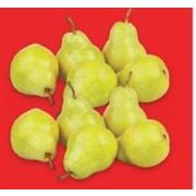 Bartlett Pears - $0.88/lb