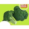 Broccoli Crowns  - $2.49/lb