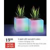 2-Pack Led Succulent Cubes - $19.99