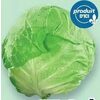 Green Cabbage - $0.79/lb
