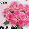 12 Roses Bouquet - $24.99